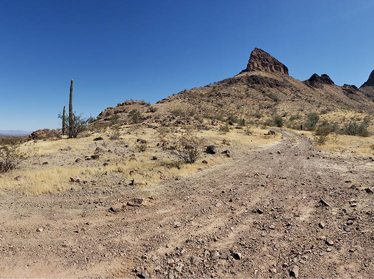 arizonamain